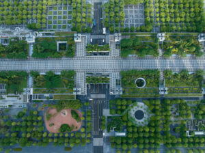 Environment